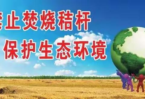 【沙河桥东】高二村紧锣密鼓的展开夏季秸秆禁烧工作