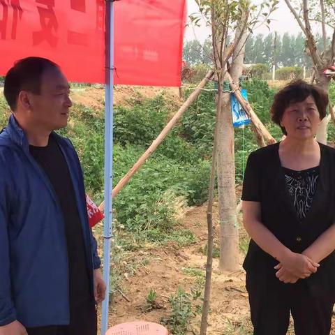 区政协副主席闫慧英察看“三夏”生产并慰问政协驻村工作队