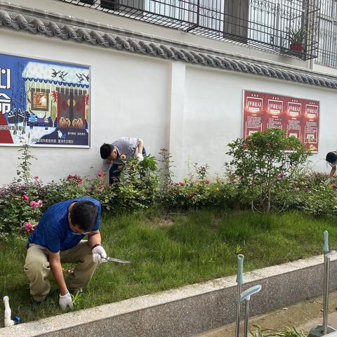 政协机关开展清洁行动，助力“双创”工作