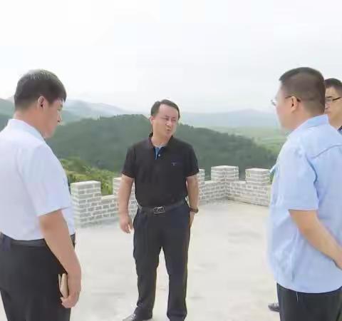 隆化县委常委、常务副县长王东利检查汛期安全生产工作