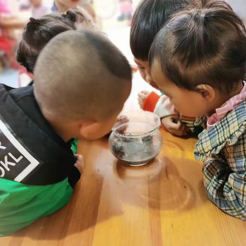 《可爱的小螃蟹》