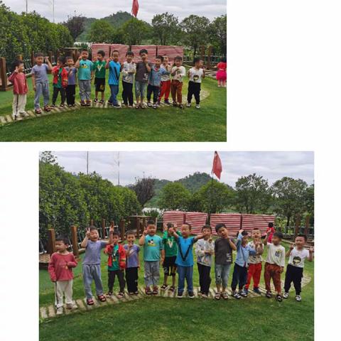 《可爱的小蚂蚁》