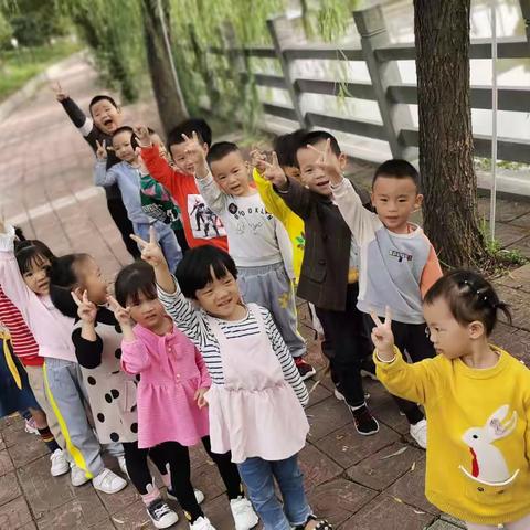 《不同的树叶🍂》