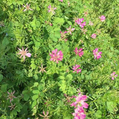 2019年3月20日 走进春天