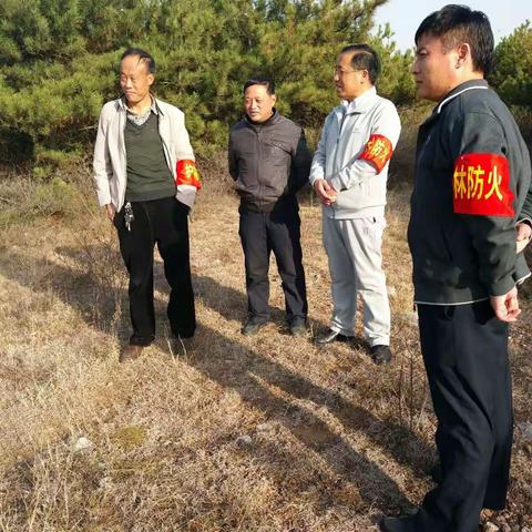 护林防火常抓不懈
