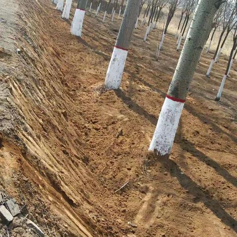 “五道五治”攻坚战，建设美丽新黄山!