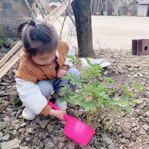 春意暖暖，绿意萌萌——河滨幼儿园中一班植树节活动