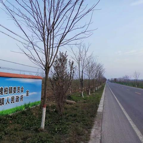 清明节家乡行随记