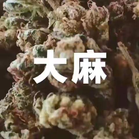 远离毒品  亲近美好人生