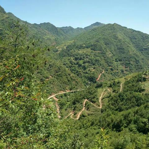 长坝林场现地踏查2018年天保造林设计