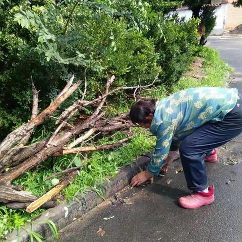 老顶山镇志愿者清理雨后垃圾