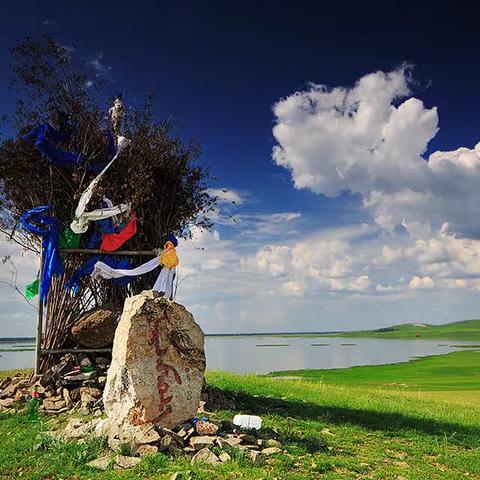 《夏》——呼伦贝尔大草原六日深度纯玩