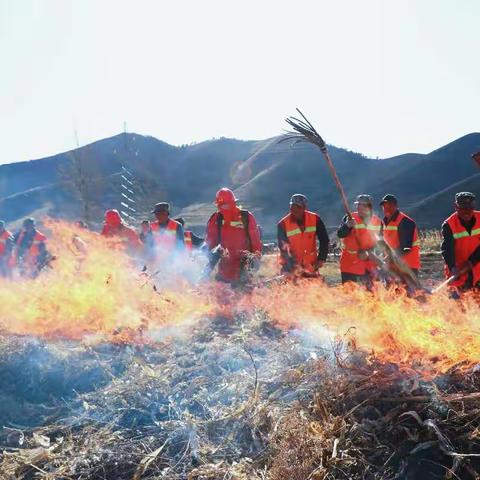 [田家窑镇]～田家窑镇组织镇半专业扑火队及护林员开展扑火演练