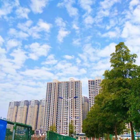 四二班第11周小结