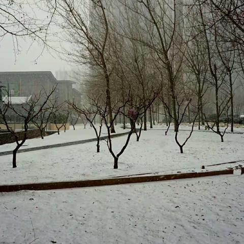 2017年2月21日北京迎来了今年的第一场雪，是一场久违的的大雪，即使我每年都来北京也很少见到。