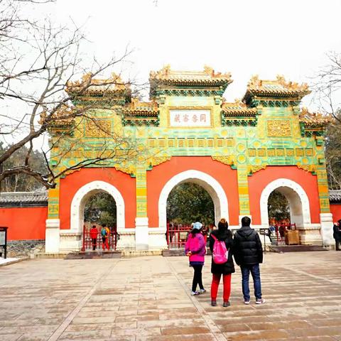 腊梅花开之日便是瑞雪飞扬。2017年的第一场雪将我引到了北京最佳赏腊梅的境地☞卧佛寺……