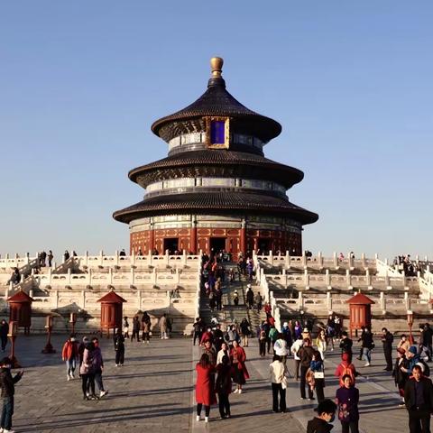 北京天坛公园三十九届菊花展