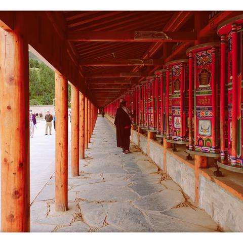 西北青甘大环线之旅（甘南大草原）下集