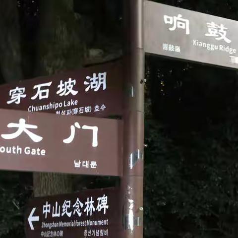 20220702麓山夜观