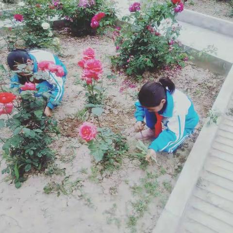 风景这边独好                                                     ——  泰安小学日常