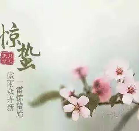 二十四节气课堂之“惊蛰”主题活动