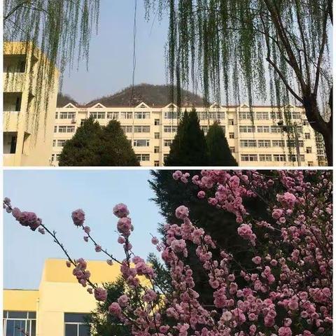 延安市宝塔区第一中学2020年秋季开学学生返校温馨提示