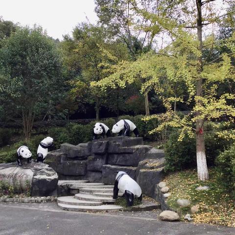 都江堰熊猫乐园