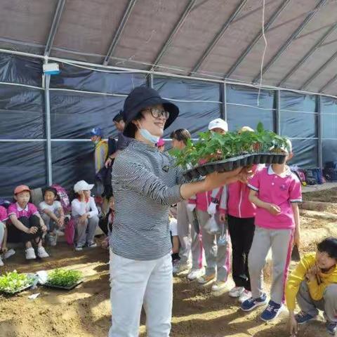 我们是勤劳的小蜜蜂