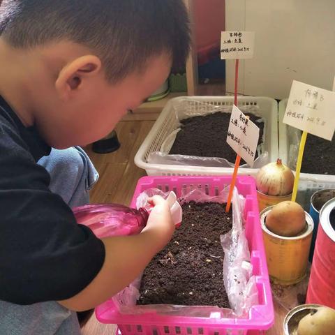 【中二班班级动态】种植区里那些事🌱