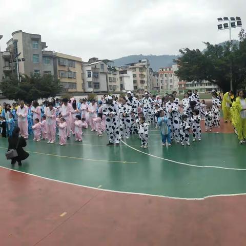 旧市拾荒的美篇