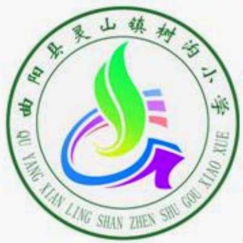 疫情下的坚守—— 停课不停学，成长不停歇  灵山镇树沟小学