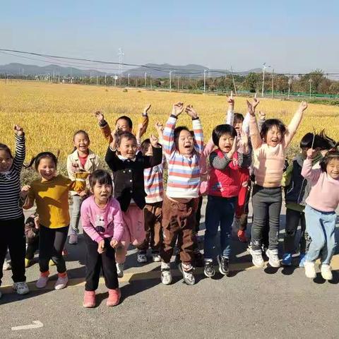 金色的田野——大班