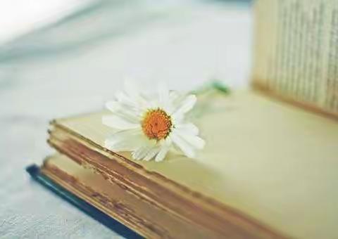 春风化雨悄无声，听课评课促成长——岳滩镇中心小学五年级听评课活动