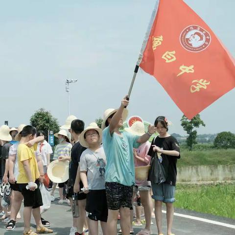 赴一场“芒种”之约——记陈康白中学198班学子插秧捕鱼乐