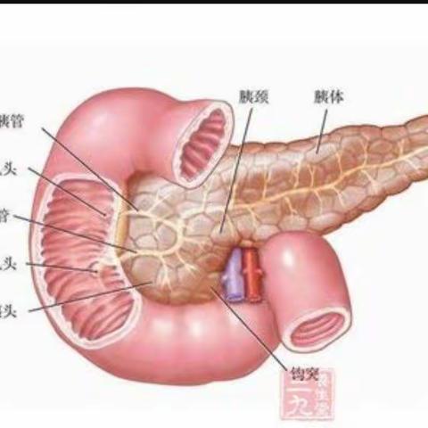 🎀 🎀 春燕🎀 🎀的美篇