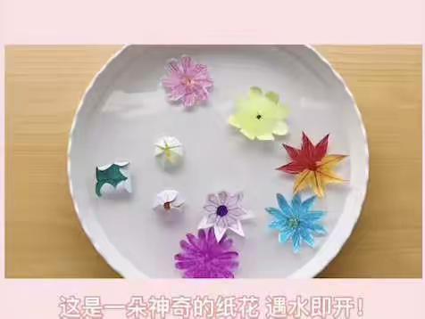 大班科学小实验《水中开花🌼》