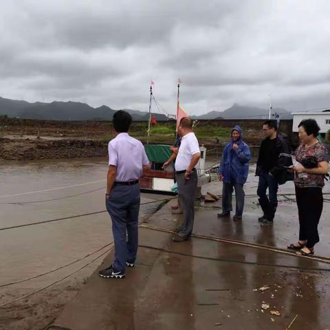 心中的那抹“绿"