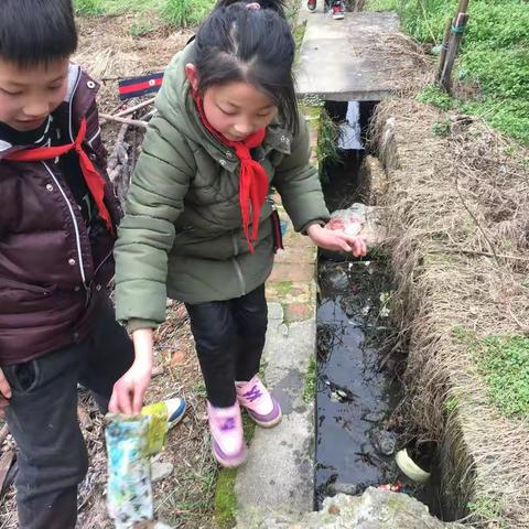 凤凰湖学校四年级同学学习雷锋好榜样，不怕苦，不怕累，捡拾垃圾和擦洗校车