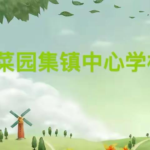 菜园集镇中心学校二月份业务活动简报