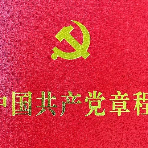 认真学习党章 汲取奋进力量