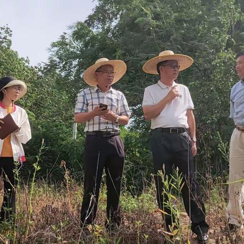 县人大常委会副主任韩宇到荣邦乡大岭河检查防汛和水浮莲清理并开展巡河调研