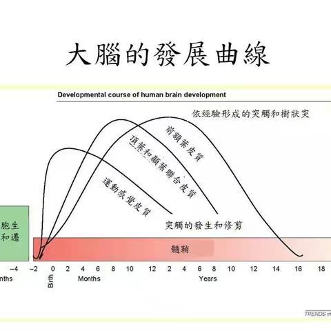 养育孩子是科学，更是艺术 | 洪兰教授讲座                  李跃儿芭学园