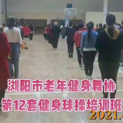 浏阳市老年体协舞蹈协会举办健身球操培训班