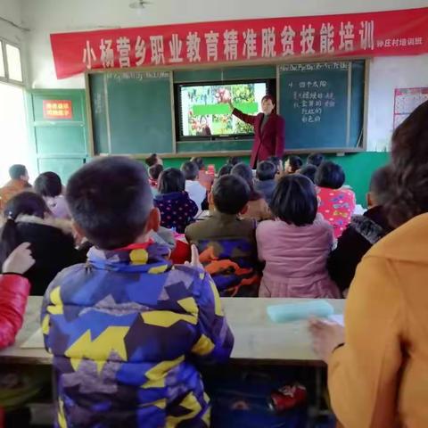 孙庄小学语文组同课异构活动