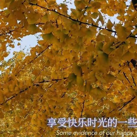 银杏树下，我们有“画”说——大一班自然故事小记（二）