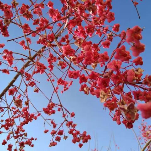 数缺形时少直观，形少数时难入微一一记11月份天山区中学数学教研活动