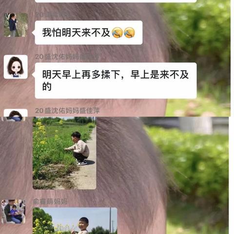 忆清明，习礼俗—暨双林镇中心幼儿园镇西分园小一班亲子活动