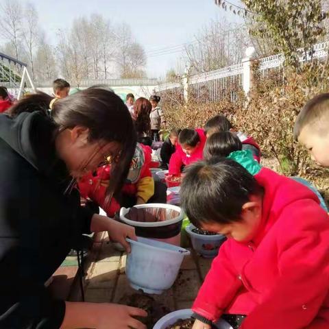 康乐县景古幼儿园小(1)班2019年秋季活动掠影