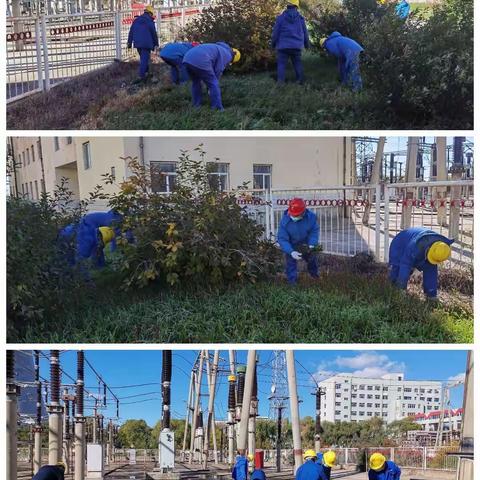 运行第二党小组开展“抗击疫情勇担当 保护环境志愿行”主题活动