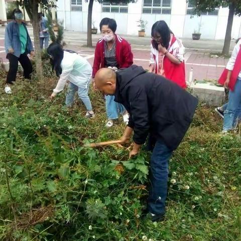 清除杂草       美化校园